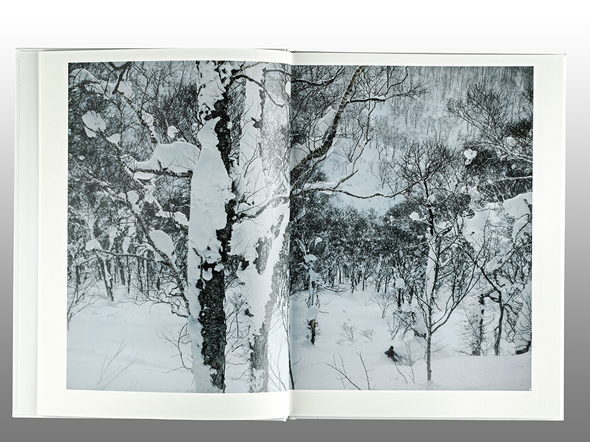 雪 The Essence of the Winter Forest 森 | 美術・芸術書、写真集 | 事例紹介 | 株式会社アイワード
